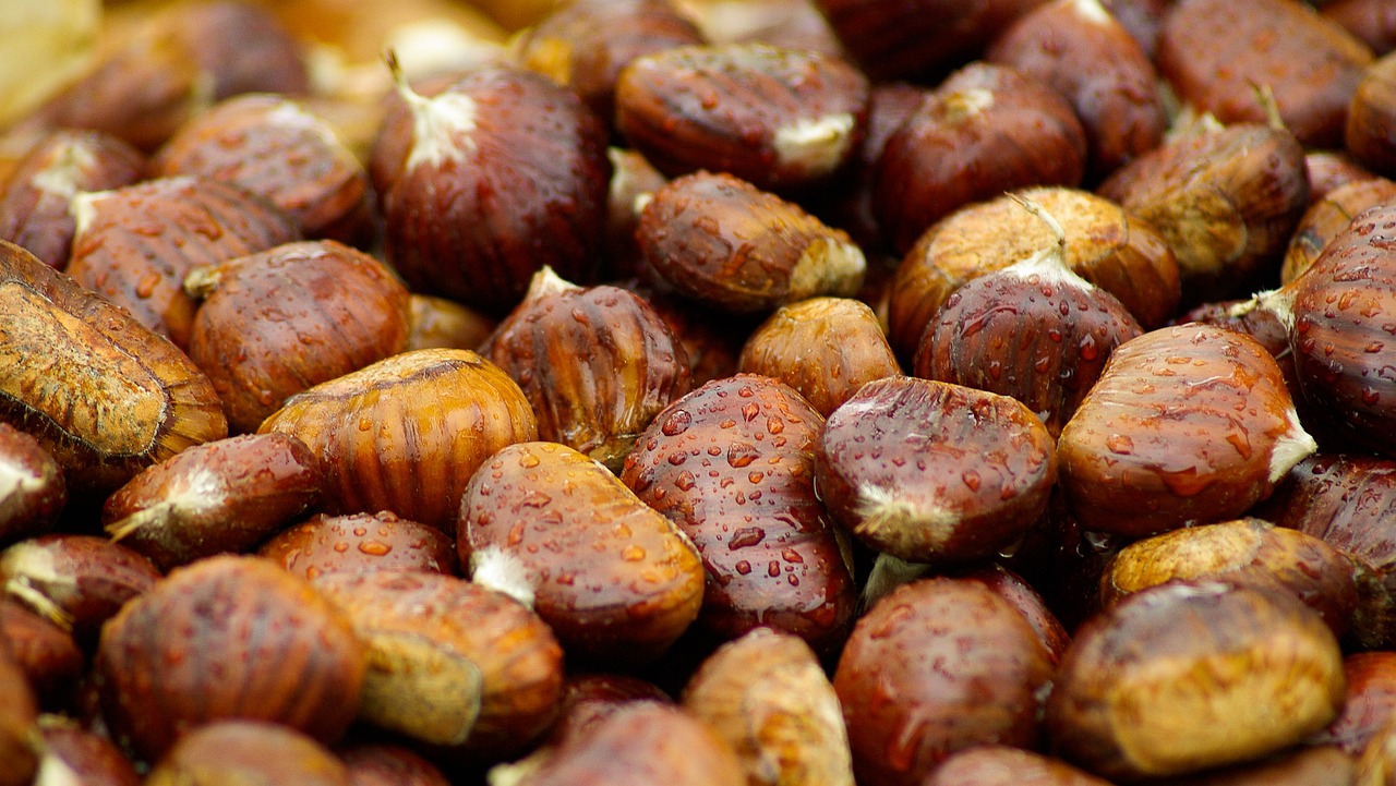 castagne da asciugare