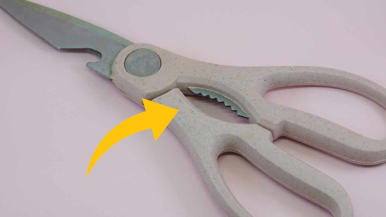 Sai a cosa serve davvero la parte dentellata delle forbici? Solo in pochi conoscono la risposta giusta  --- (Fonte immagine: https://www.comestarbene.com/wp-content/uploads/2023/10/forbici.jpg)