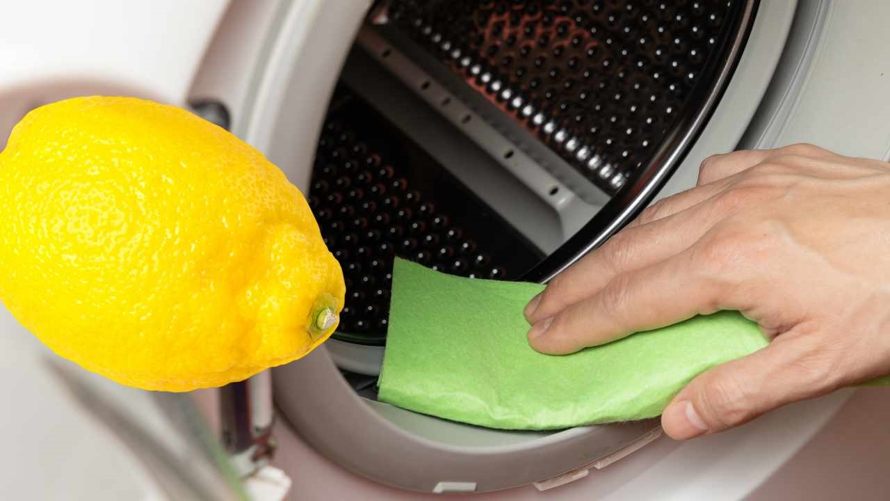 lavatrice limone