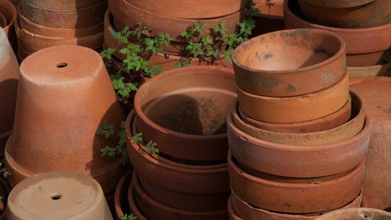 vasi terracotta grandi