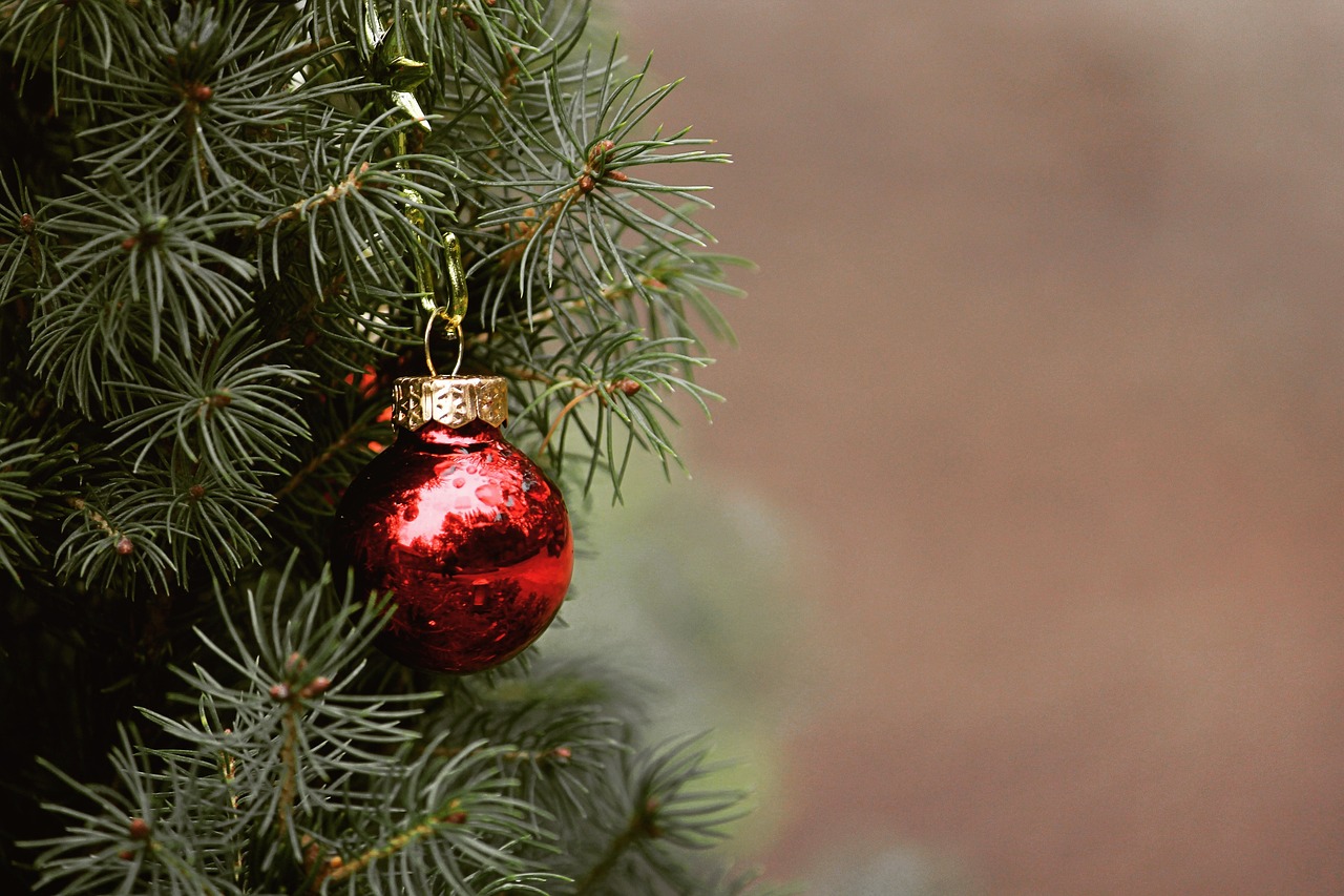 Albero di Natale addobbato