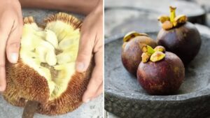 I 5 frutti più belli che tu abbia mai visto