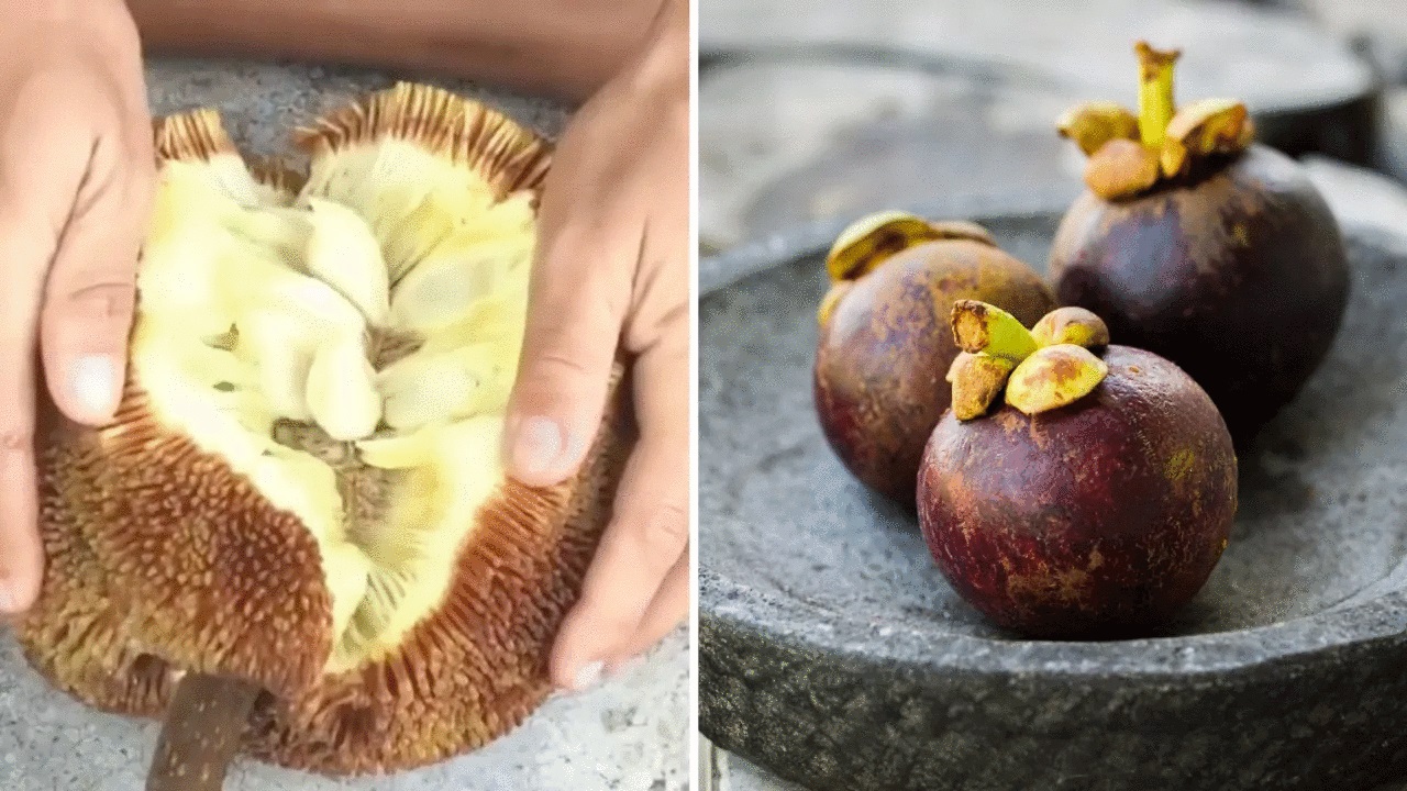 mangosteen