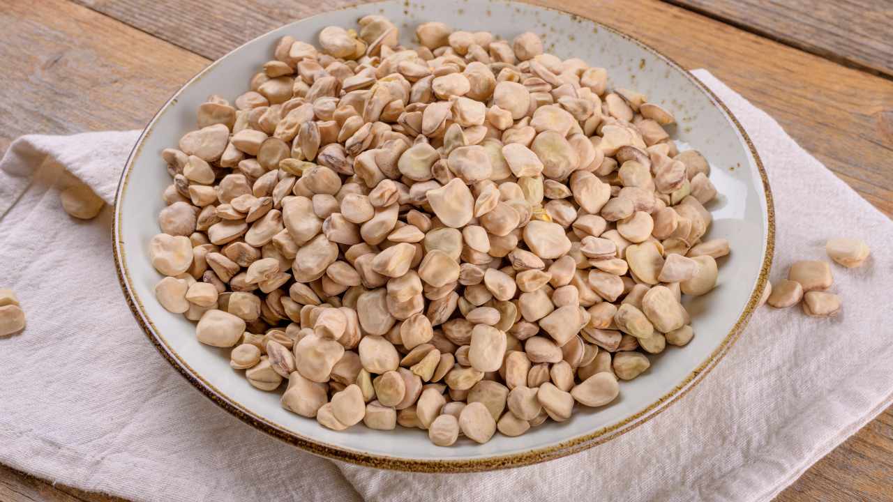 legume