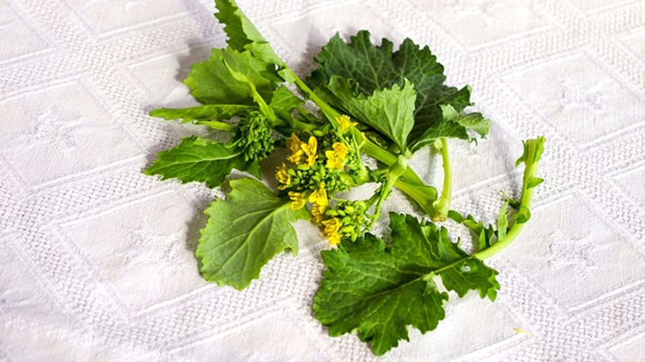 cime di rapa