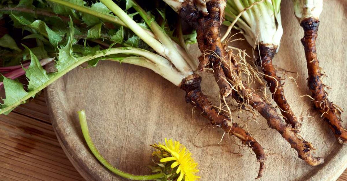 Per Depurare Il Fegato Con Le Erbe Le 5 piante che possono aiutare a depurare il fegato