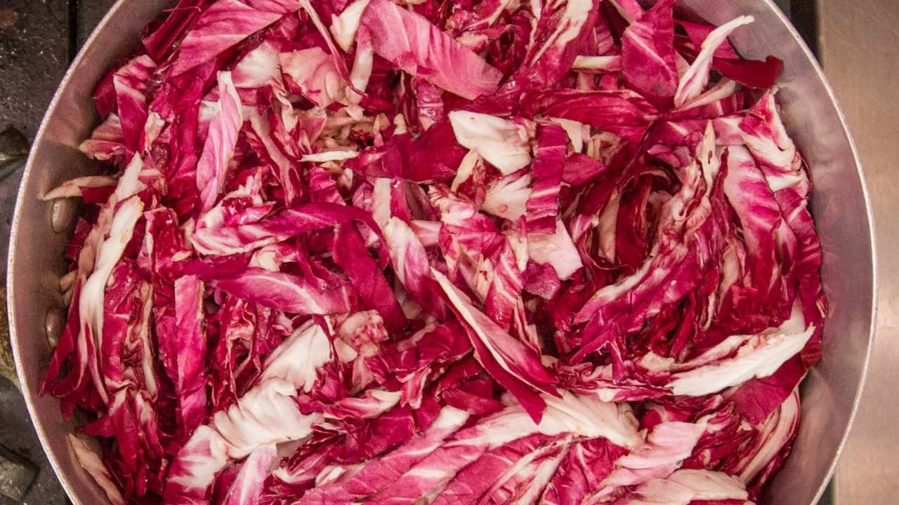 radicchio amaro