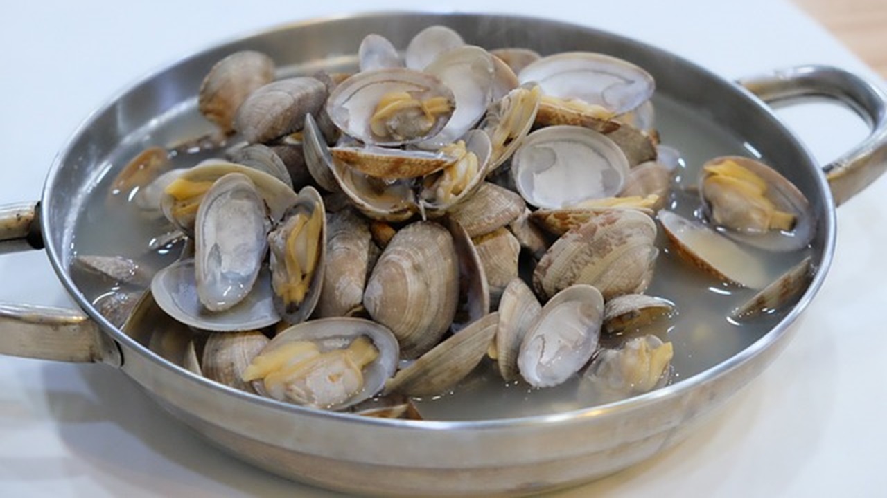 vongole veraci