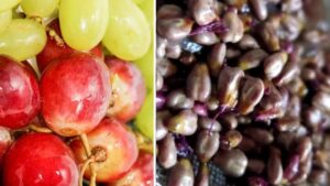 Compri l’uva senza semi? Da oggi non lo farai più