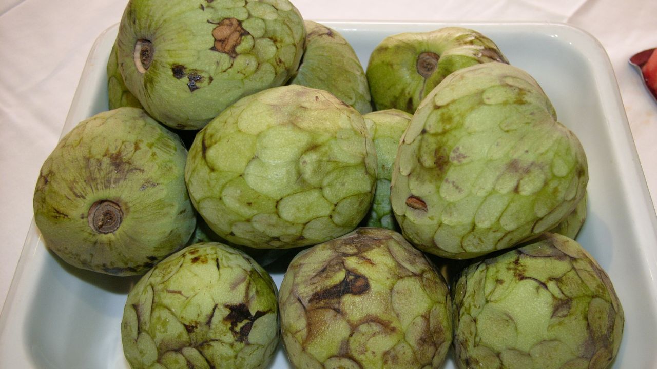 Frutta annona calabrese