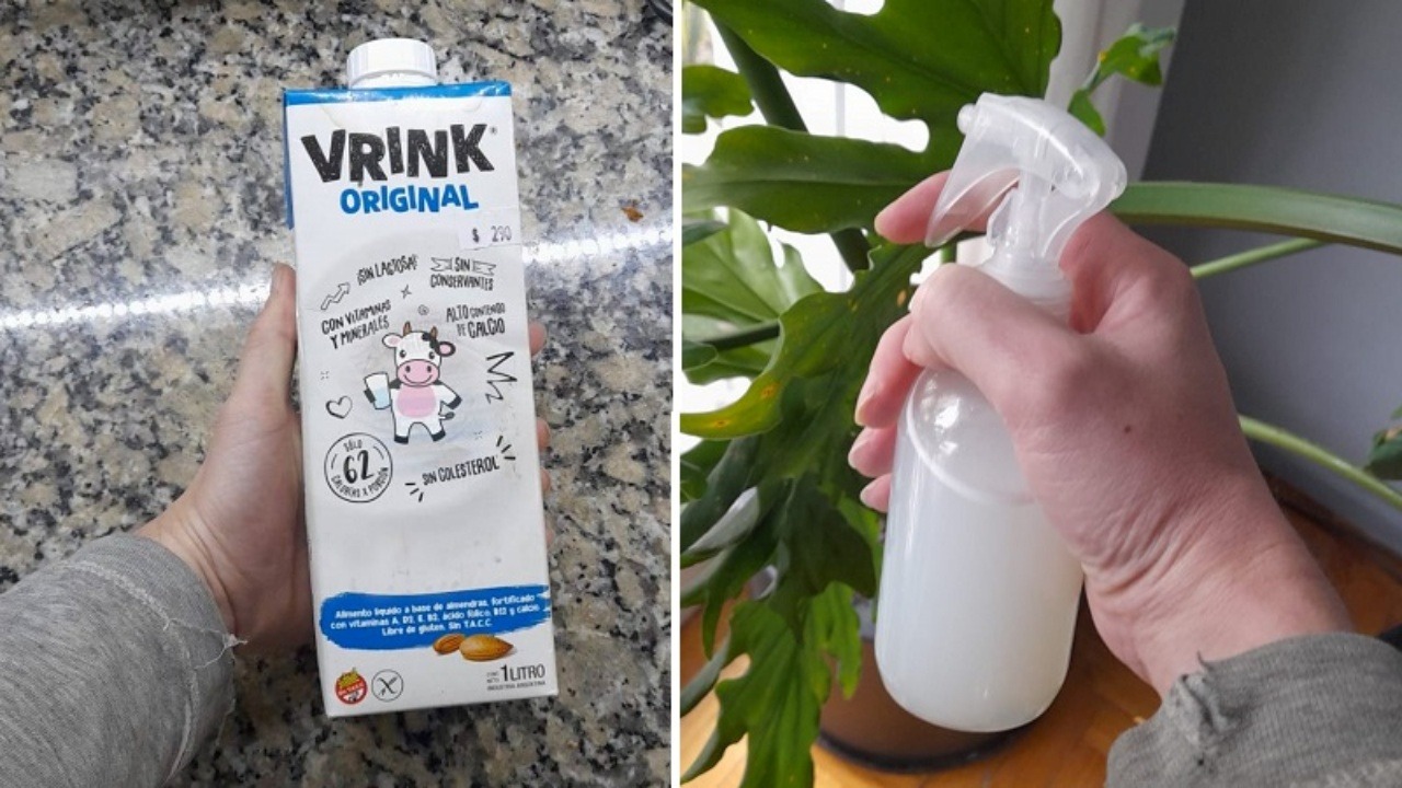 Irrorare latte sulle piante