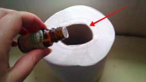 Hai mai provato questo trucchetto per profumare il tuo bagno? Lo fanno in molti