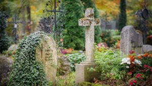 Quali sono i fiori e le piante che resistono di più al cimitero? La risposta è inaspettata