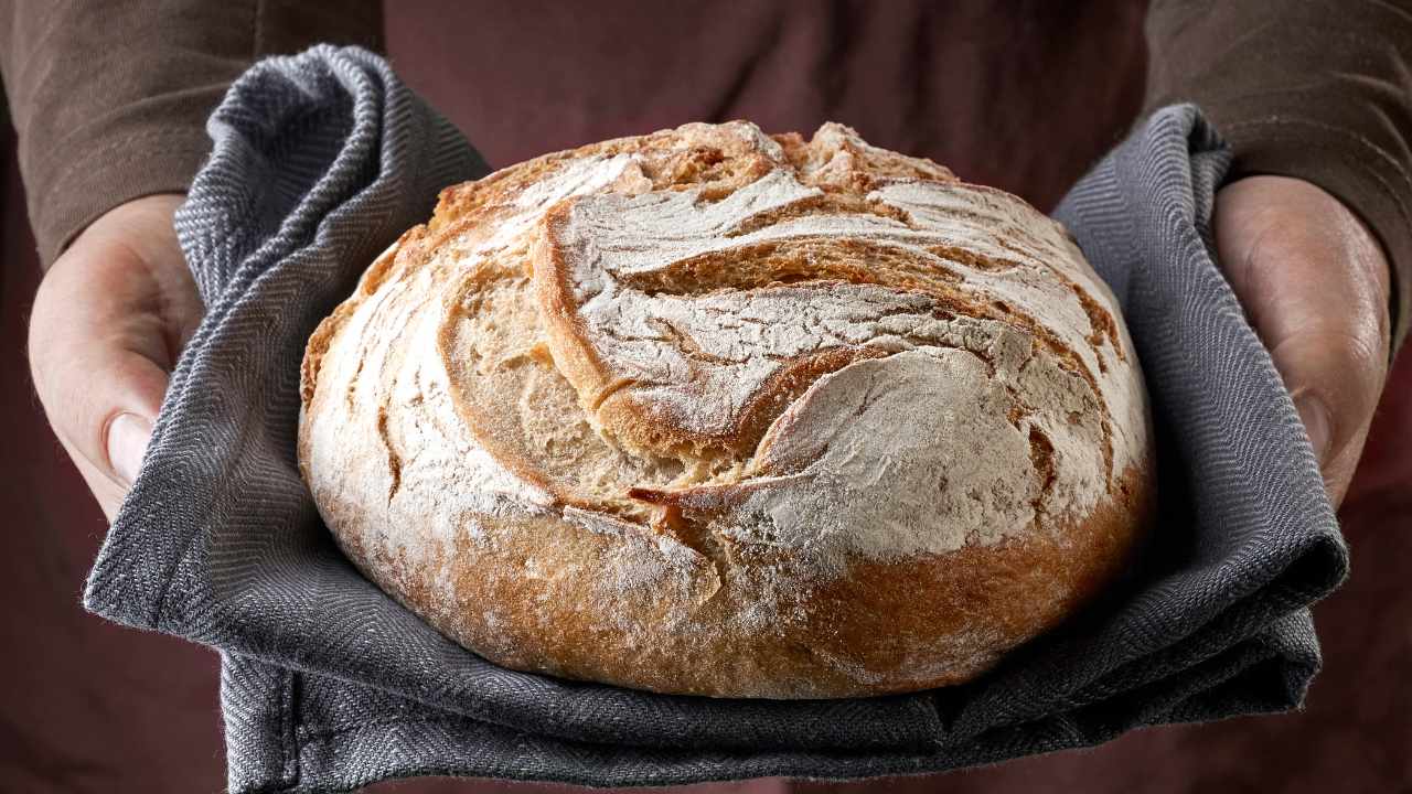 pagnotta di pane