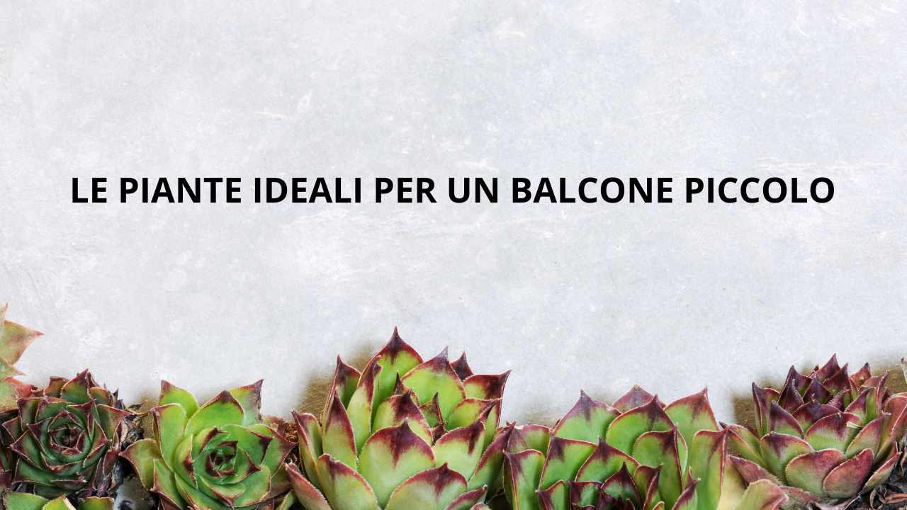 Le piante ideali per un balcone piccolo