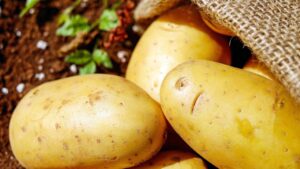 Semina le patate con queste tecniche di successo, avrai una ricca raccolta