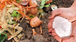 Il segreto del bicarbonato di sodio per rivoluzionare il tuo compost