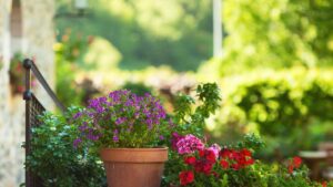 Quali bulbi da fiori piantare in primavera per avere un terrazzo super colorato in estate