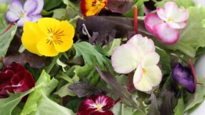 Mangiare il prato: i fiori spontanei che puoi raccogliere a marzo