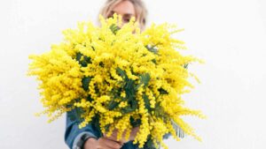 Sapevi che inizialmente non erano le mimose il fiore simbolo della festa della donna? Ecco quale era stato scelto