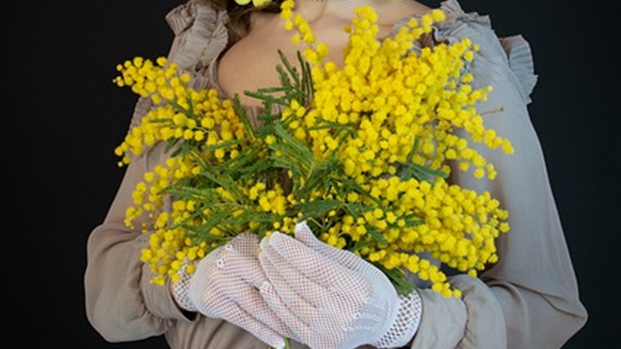 mazzo di mimose