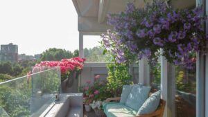 Purifica l’aria con queste piante mangia smog per il tuo balcone