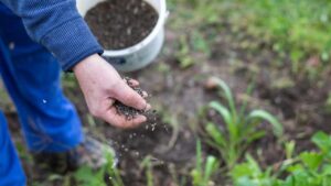 Ecco quali sono i lavori in giardino che dovrebbero essere fatti nel mese di aprile