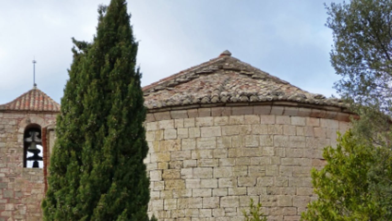 Pianta di cipresso al cimitero