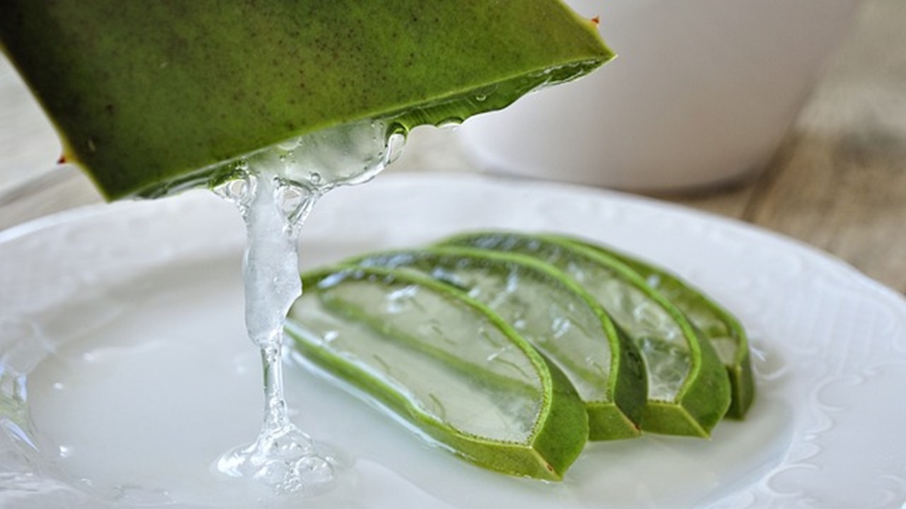 gel di aloe