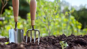 Giardinaggio e mese di maggio: tutti i consigli essenziali