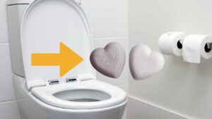 Basta profumatori per wc acquistati nei negozi e basta plastica: ti svelo come profumarlo in modo naturale