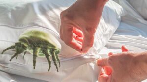 Come eliminare gli acari dal cuscino: sbarazzatene per sempre così