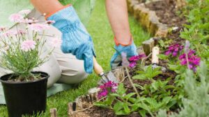 Perché dovreste tutti fare giardinaggio: riduce lo stress e allontana i brutti pensieri