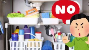 4 cose che non devi mai conservare sotto il lavello della cucina