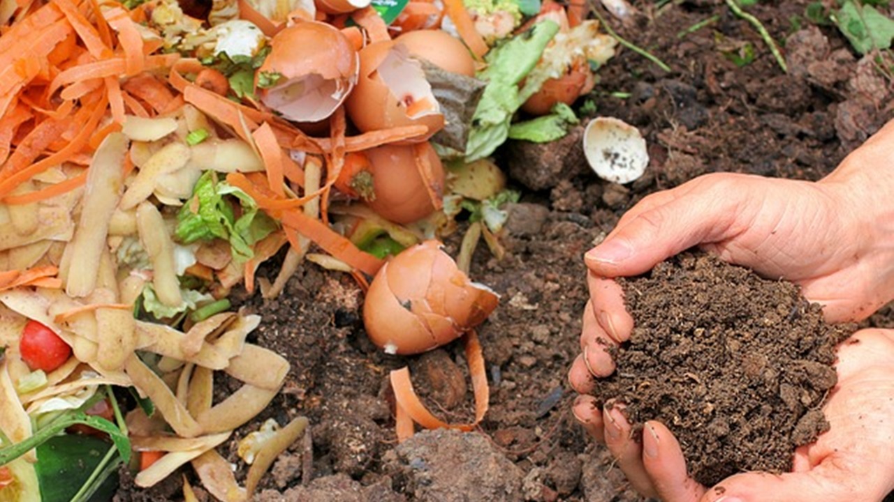 compost