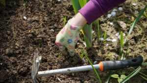 Giardino in estate: gli errori da non fare