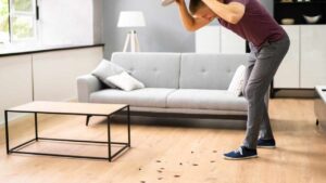 Mettine un po’ nei punti strategici della tua casa e dirai addio per sempre alle blatte