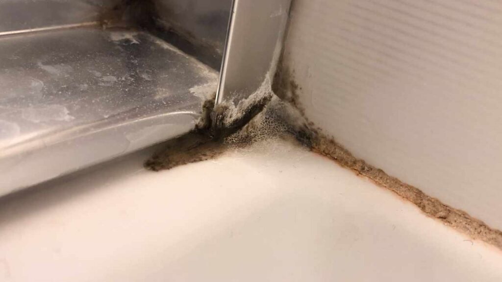 Come rimuovere calcare, muffa e sporco dal piatto doccia con trucchetti di pulizia: non ci rinuncerai più!