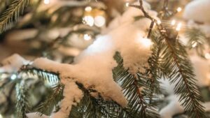 Ho scoperto come creare la neve finta per Natale! Non la comprerò mai più! Te lo svelo subito…