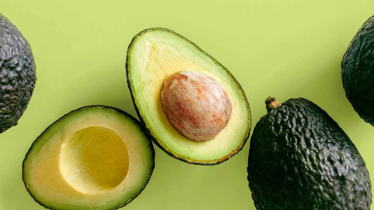 stelo avocado