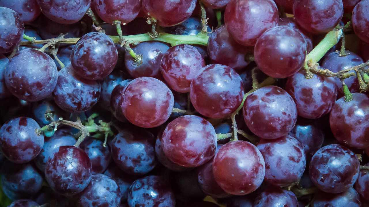 frutta e patina bianca