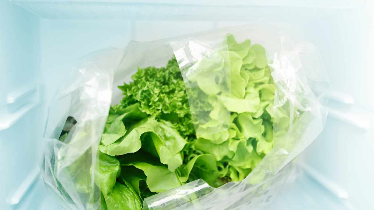 conservare verdure