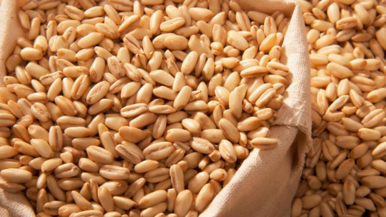 benefici orzo