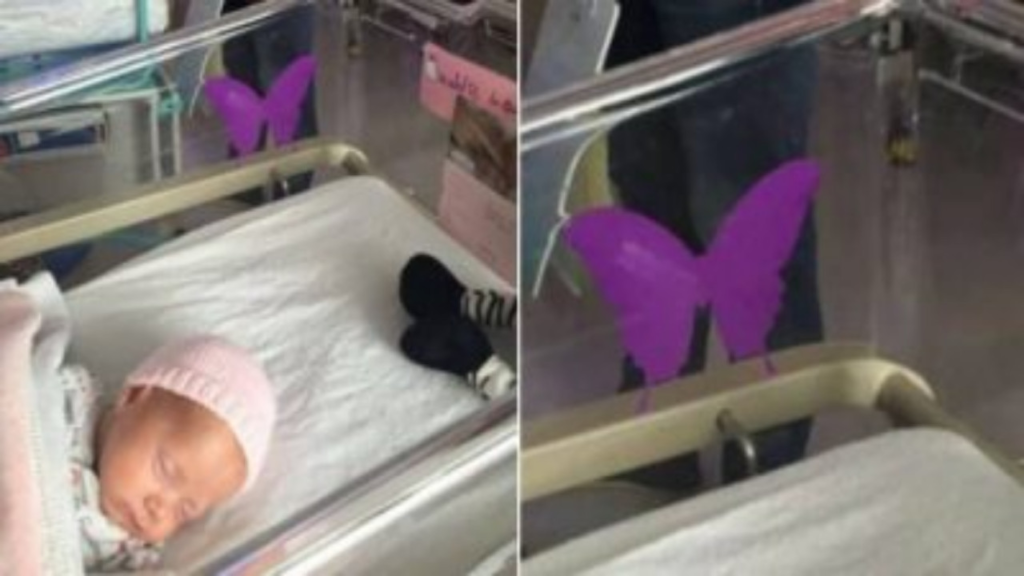 Se vedi questa farfalla viola sulla culla di un neonato, non fare domande. Ha un significato straziante