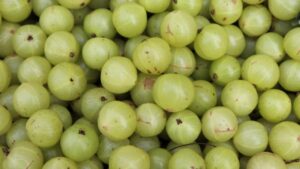 Soffri di diabete? Questo è il frutto che devi mangiare! Riduce il colesterolo e combatte la perdita dei capelli