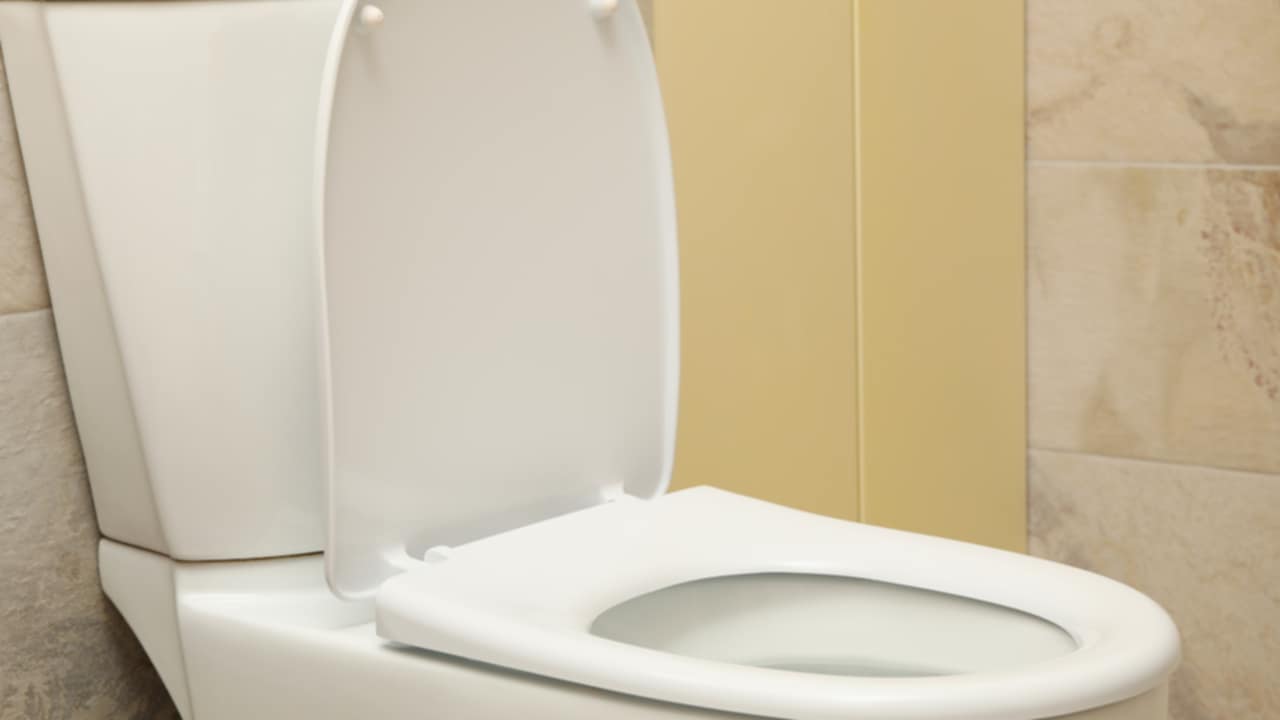 pipì puzza mattino